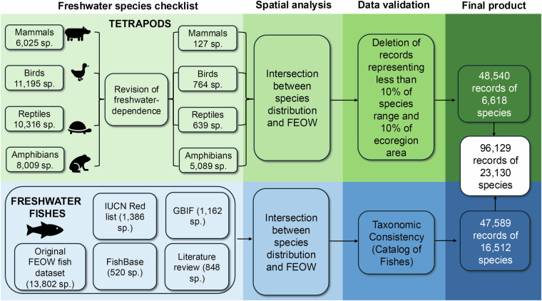 Ecoregional distributions of the world's freshwater vertebrate species.