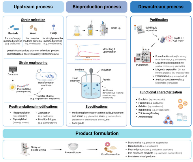 Scientific and technological challenges of recombinant egg protein production.