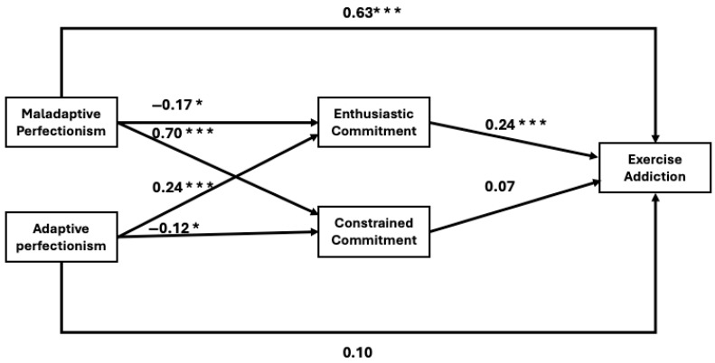 The Role of Perfectionism and Sport Commitment on Exercise Addiction Among Hungarian Athletes.