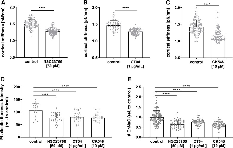 SECS, drugs, and Rac1&Rho: regulation of EnNaC in vascular endothelial cells.