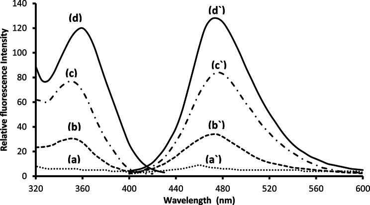 Metal chelation approach synergized with surfactant for spectrofluorimetric assay of moxifloxacin with method greenness evaluation.