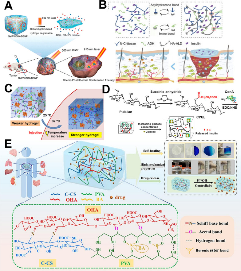 Smart hydrogels for in situ tissue drug delivery.