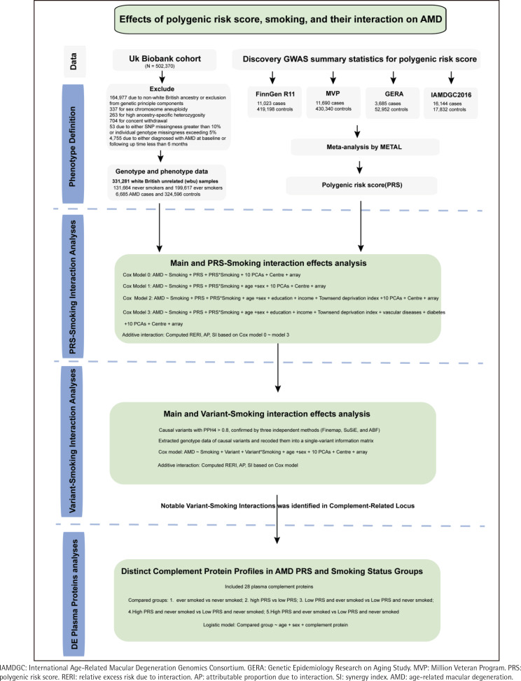 Deciphering gene-smoking interactions in age-related macular degeneration through cross-biobank genomic integration.
