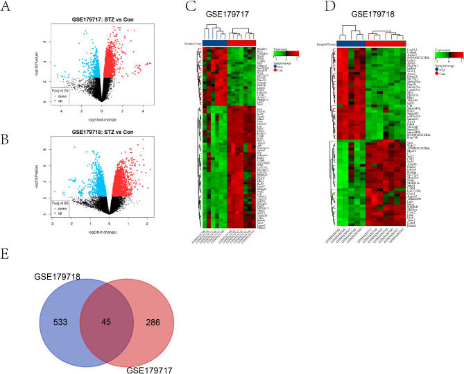 Integrating machine learning and bioinformatics approaches to identify novel diagnostic gene biomarkers for diabetic mice.