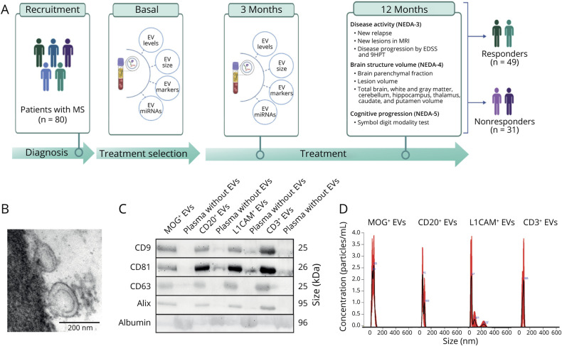 Extracellular Vesicle-Derived MicroRNAs as a Biomarker for Therapeutic Response in Multiple Sclerosis.