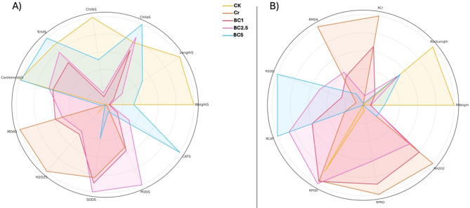 Assessment of biochar filter application in improving chromium stress tolerance and plant physiology in Chinese cabbage (Brassica rapa) under a flow-through water setup.