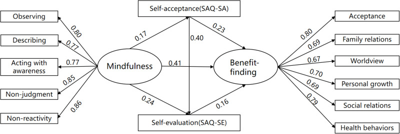 The Mediating Effects of Self-Acceptance and Self-Evaluation on Mindfulness and Benefit -Finding in a Sample of Chinese Systemic Lupus Erythematous Patients.