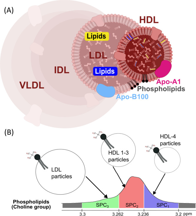 NMR Spectroscopy-Based Lipoprotein and Glycoprotein Biomarkers Differentiate Acute and Chronic Inflammation in Diverse Healthy and Disease Population Cohorts