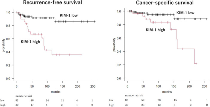 Kidney Injury Molecule-1 Expression in Pathological T1b Clear Cell Renal Cell Carcinoma: A Putative Biomarker of High Immune-Inflamed Status and Recurrence.