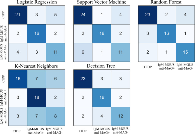 Electrophysiological-based automatic subgroups diagnosis of patients with chronic dysimmune polyneuropathies.