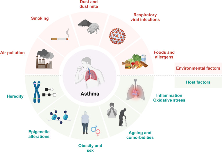 Naturally derived bioactive compounds as regulators of oxidative stress and inflammation in asthma.