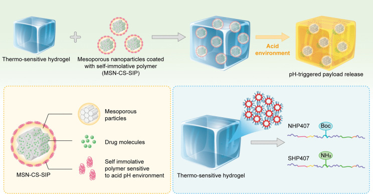 Advances in hybrid hydrogel design for biomedical applications: innovations in drug delivery and tissue engineering for gynecological cancers.
