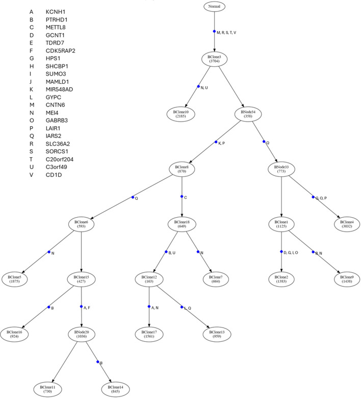 GenoPath: a pipeline to infer tumor clone composition, mutational history, and metastatic cell migration events from tumor DNA sequencing data.