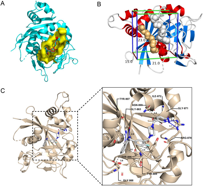 Development and evaluation of a 99mTc-labeled olaparib analog for PARP imaging