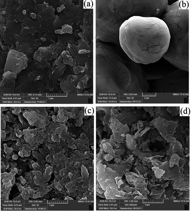 Optimization of modified bentonite mycotoxin binders for enhanced adsorption efficiency under simulated gastric and intestinal conditions.