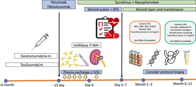 Desensitization in HLA-incompatible kidney transplant recipients: current strategies and emerging perspectives.