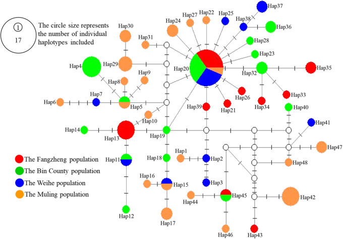 Genetic analysis of the Siberian flying squirrel population in the northern Changbai Mountains, Northeast China: Insights into population status and conservation.