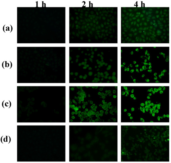 Correction: Novel dual mitochondrial and CD44 receptor targeting nanoparticles for redox stimuli-triggered release