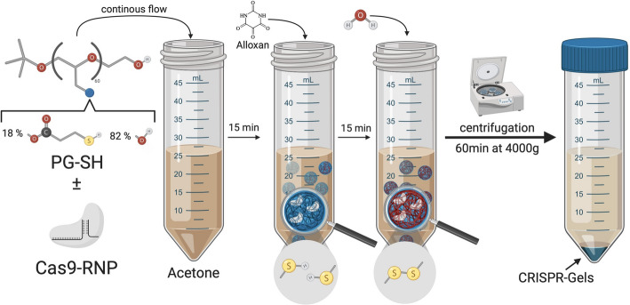 Efficient encapsulation of CRISPR-Cas9 RNP in bioreducible nanogels and release in a cytosol-mimicking environment.