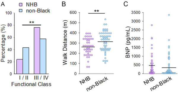 Important Differences in Disease Severity, Echocardiography Findings, and Referral Delays in Non-Hispanic Black Patients With Pulmonary Arterial Hypertension.