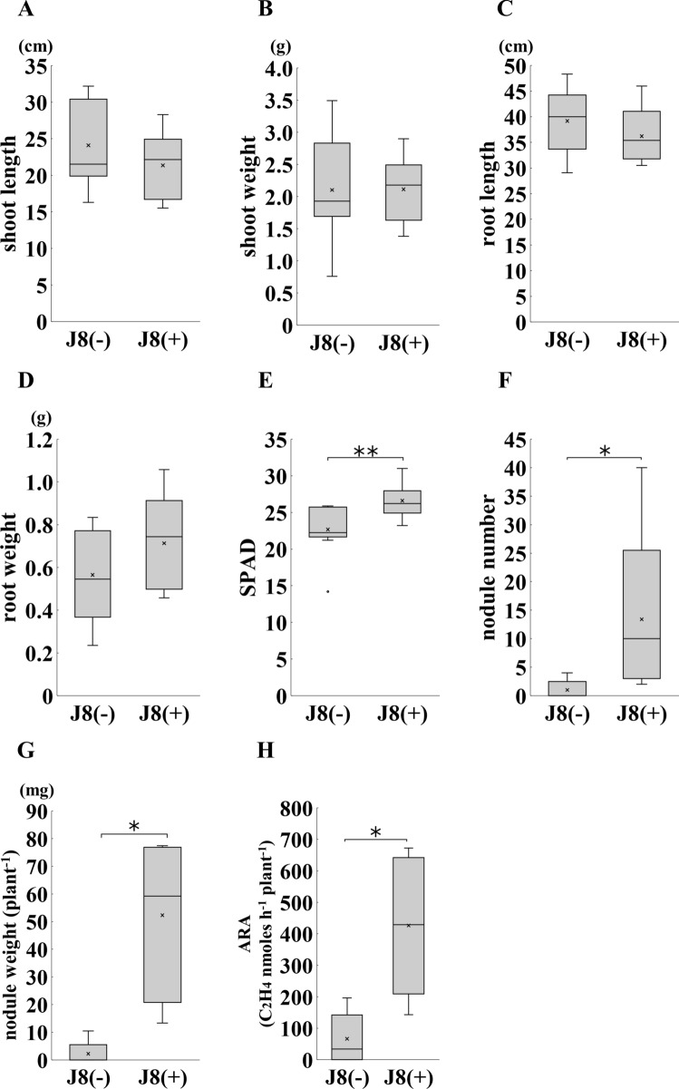 Overwhelming glycyrrhizin production in Glycyrrhiza glabra induced by rihizobial symbiosis