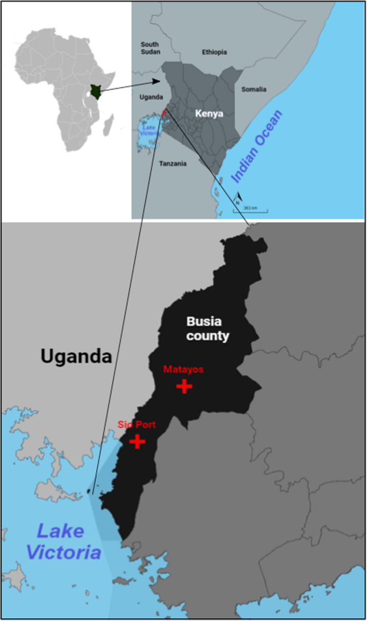 Prevalence of Plasmodium falciparum parasites harbouring chloroquine-resistant but not artemisinin-resistant alleles in Busia County, Western Kenya.