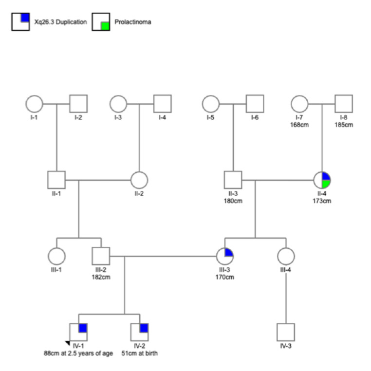 Non-penetrant Xq26.3 duplication involving the invariant TAD border: clinical evidence for the VGLL1 region as the GPR101 pituitary enhancer of X-linked acrogigantism.