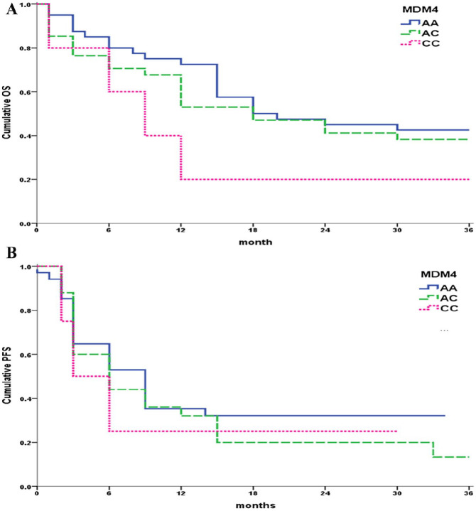 Contribution of TP53 and MDM4 Genetic Polymorphisms as a Risk Factor in Non-Hodgkin Lymphoma in Adult Egyptian Patients.
