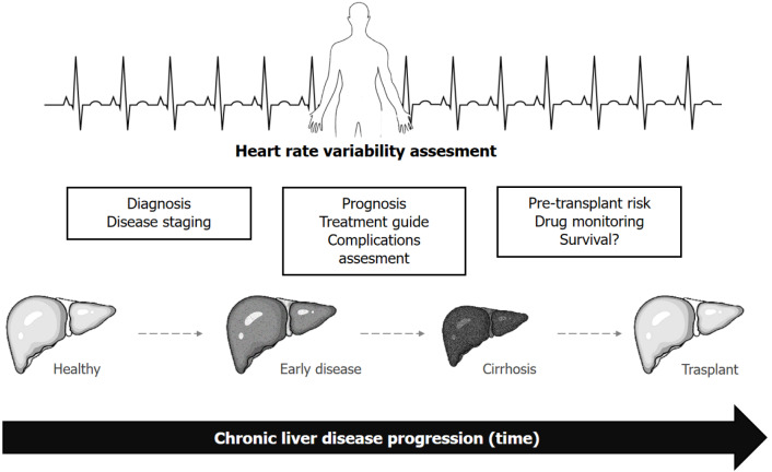 Heart rate variability in the clinical assessment of patients with chronic liver disease.