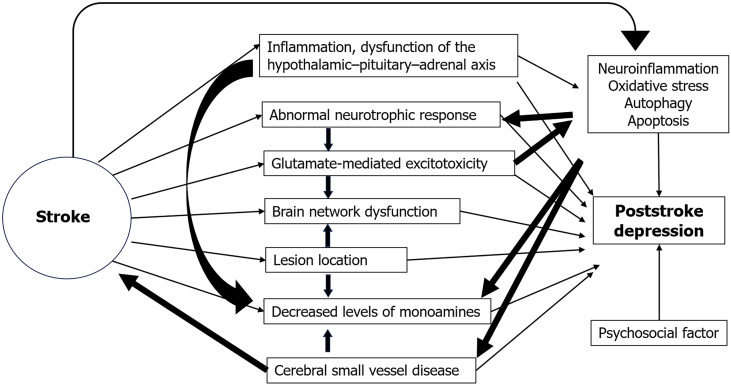 Diagnosis and etiology of poststroke depression: A review.