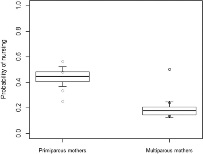 Multiparous and primiparous mothers partially differ in how they allocate maternal behaviour in captive western lowland gorillas (Gorilla gorilla gorilla).