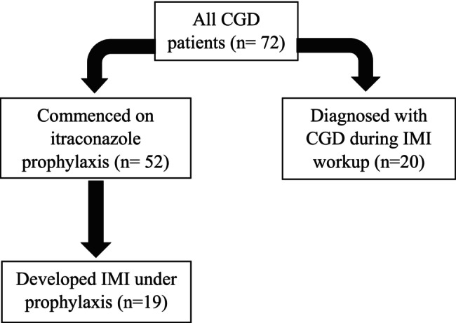 Invasive Mould Infections in Chronic Granulomatous Disease: A Multicenter Study From Türkiye.