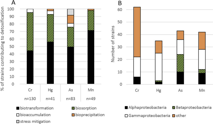 Biotransformation of As, Cr, Hg, and Mn by Pseudomonadota: chances and risks