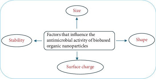 Biobased Organic Nanoparticles: A Promising Versatile Green Tool for Novel Antimicrobial Agents for Improved Safety.
