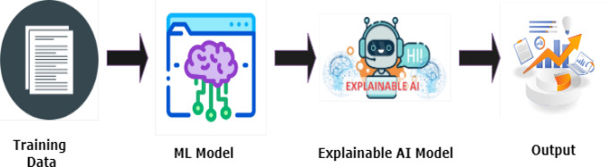 Explainable AI in early autism detection: a literature review of interpretable machine learning approaches.