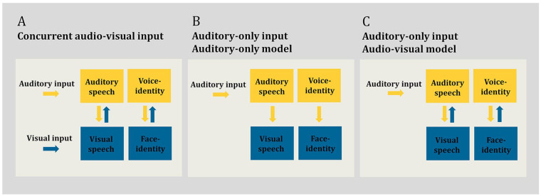 Prior multisensory learning can facilitate auditory-only voice-identity and speech recognition in noise.