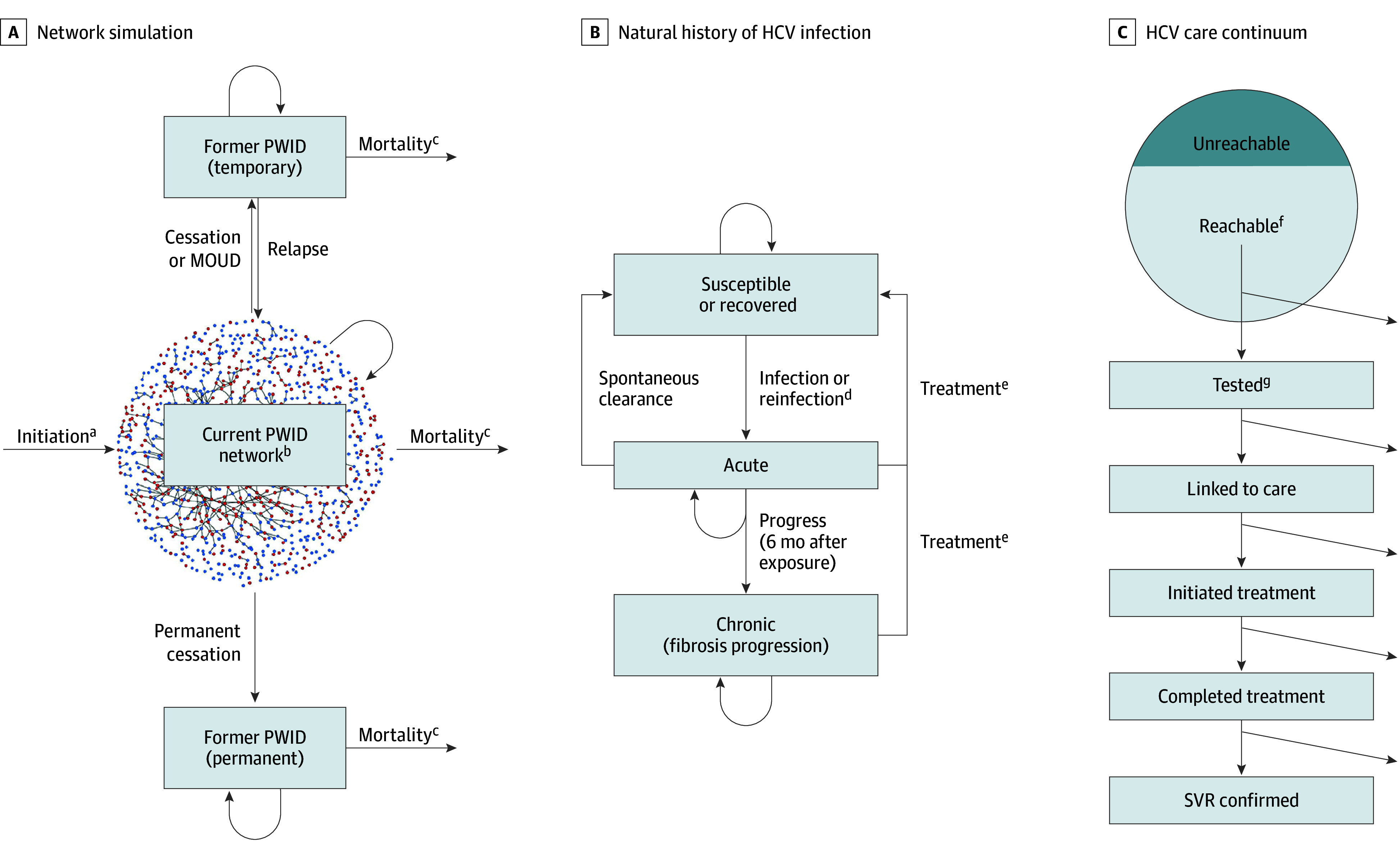 Health and Economic Impact of Periodic Hepatitis C Virus Testing Among People Who Inject Drugs.