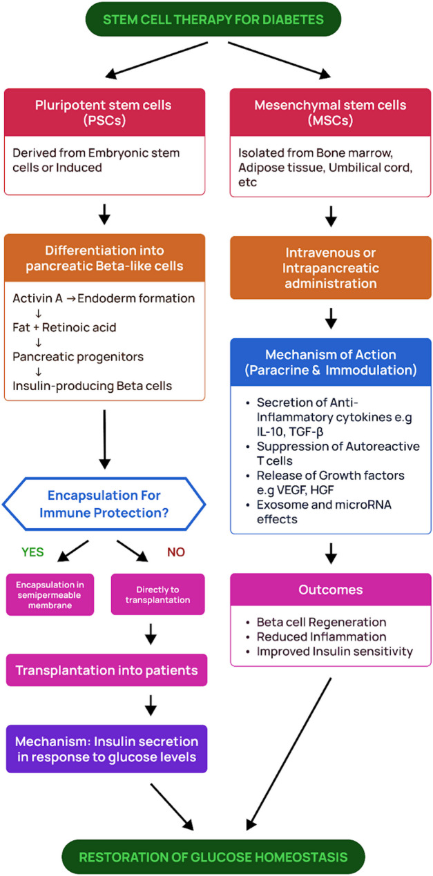 Stem cell-derived pancreatic beta cells: a step closer to functional diabetes treatment?