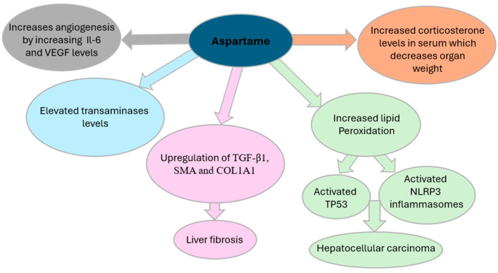 Aspartame and Human Health: A Mini-Review of Carcinogenic and Systemic Effects.