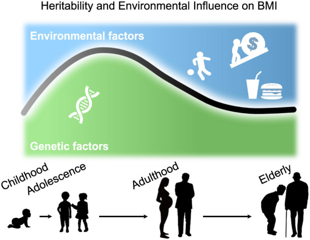 Risk factors and prediction for pediatric obesity: current status and future perspectives.