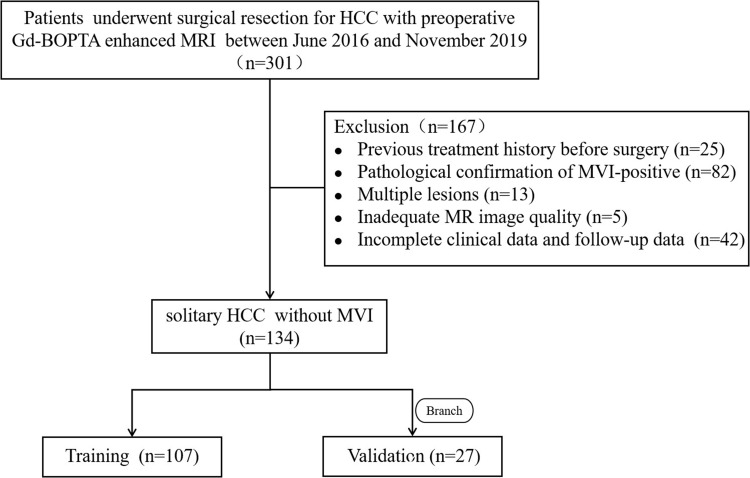 Prognostic Value of Gd-BOPTA Enhanced MRI in Solitary Resected Hepatocellular Carcinoma Without Microvascular Invasion.