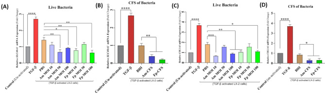 Comparative study of liver injury protection by Akkermansia muciniphila and Faecalibacterium prausnitzii interventions in live and cell-free supernatant forms via targeting the hepcidin - ferroportin axis in mice with CCl₄-induced liver fibrosis.