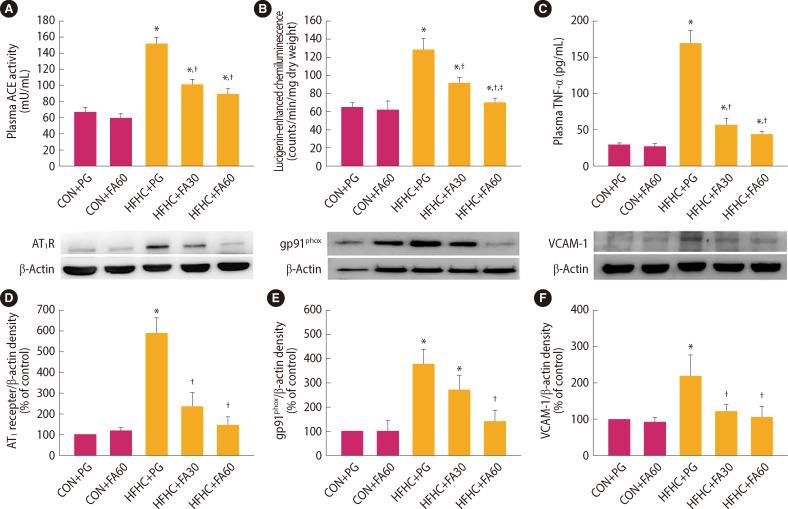 Ferulic Acid Attenuates Aortic Stiffening and Cardiovascular Remodeling by Suppressing Inflammation and the Renin-Angiotensin System in Rats Fed a High-Fat/High-Carbohydrate Diet.