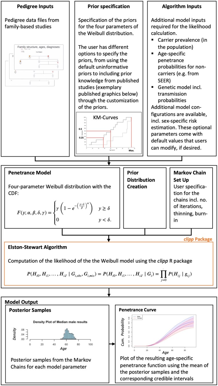 The <i>penetrance</i> R package for estimation of age specific risk in family-based studies.