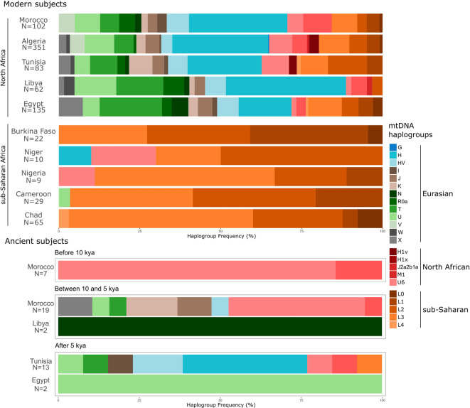 The origin of modern North Africans as depicted by a massive survey of mitogenomes.