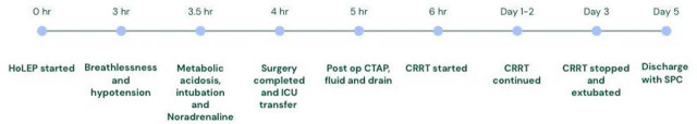 Refractory metabolic acidosis and acute abdominal compartment syndrome following Holmium Laser Enucleation of Prostate (HoLEP).