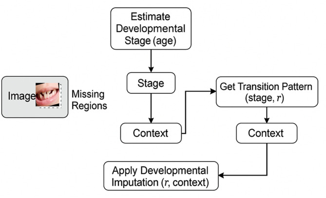 DentoMorph-LDMs: diffusion models based on novel adaptive 8-connected gum tissue and deciduous teeth loss for dental image augmentation.
