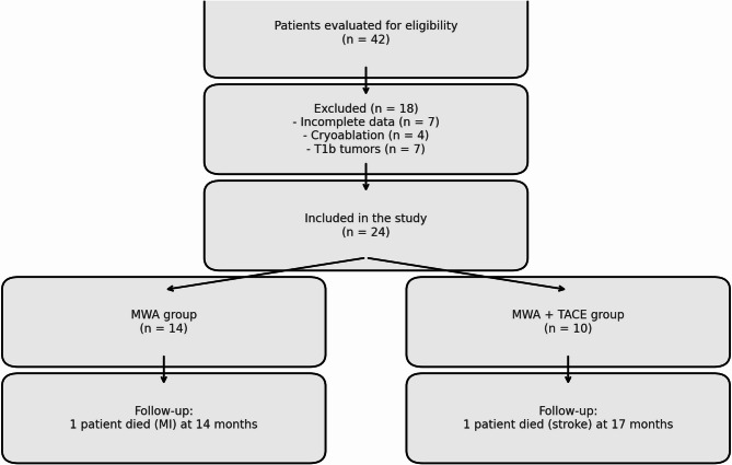 Microwave ablation versus combined microwave ablation and transarterial chemoembolization for T1a renal cell carcinoma: a Single-Center retrospective study.