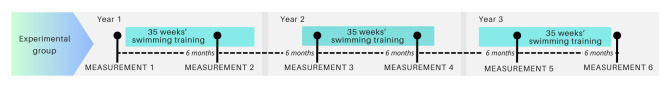 Determinants of 50 m Front Crawl Performance in Adolescent Non-Elite Female Swimmers: A Longitudinal Study.