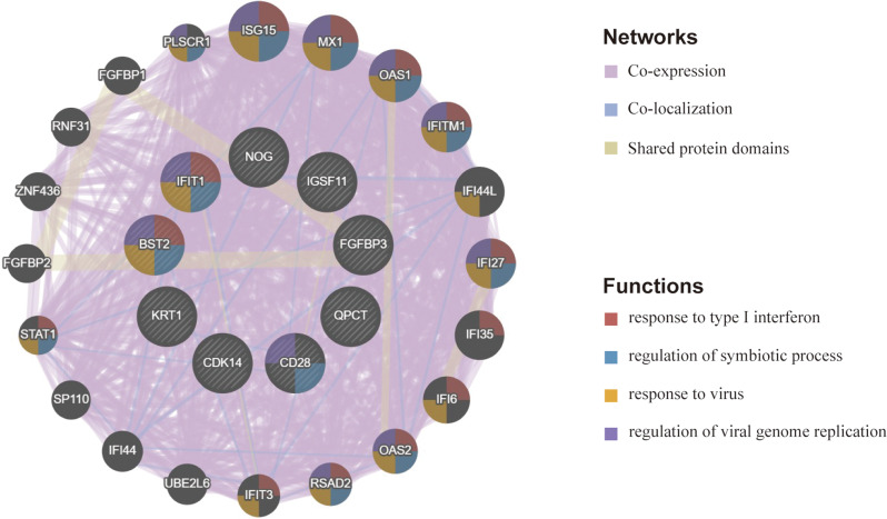 Identification of potential drug targets for achalasia from genetic insights: a Mendelian randomization study.